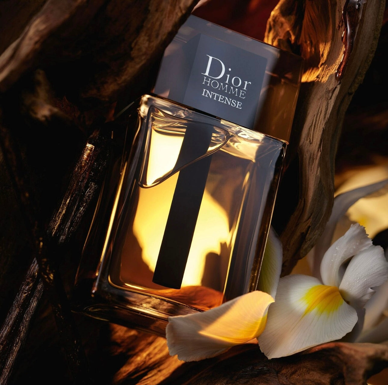 Dior Homme Intense (Eau De Parfum)