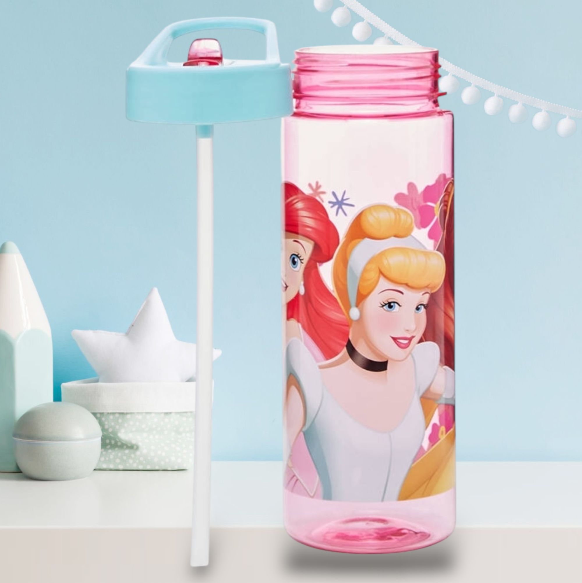Disney Princess World Water Bottle